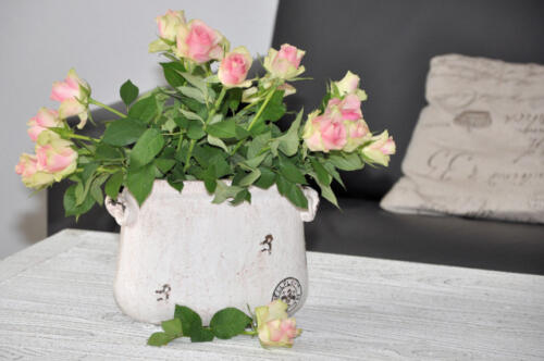 Laboe_Wohntisch_mit_Rosen
