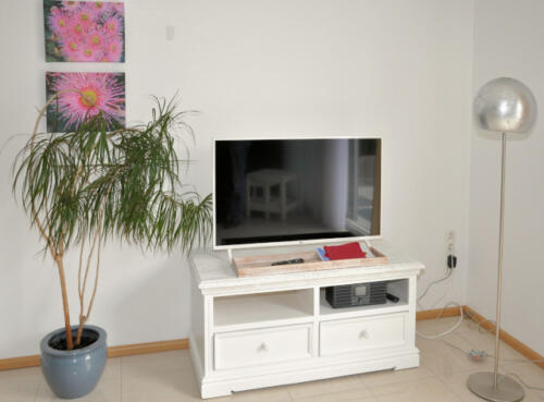 Laboe_Fernseher